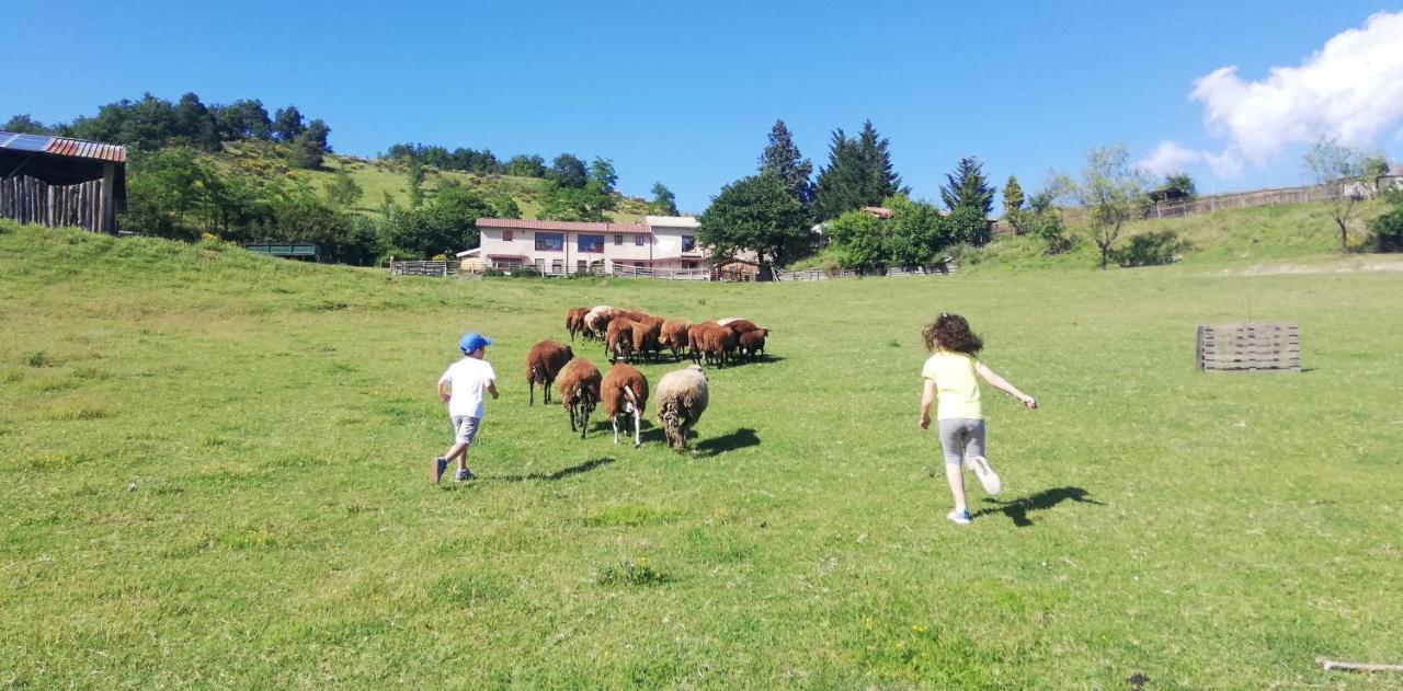 Azienda Agrituristica Cascina La Botta Dego Εξωτερικό φωτογραφία